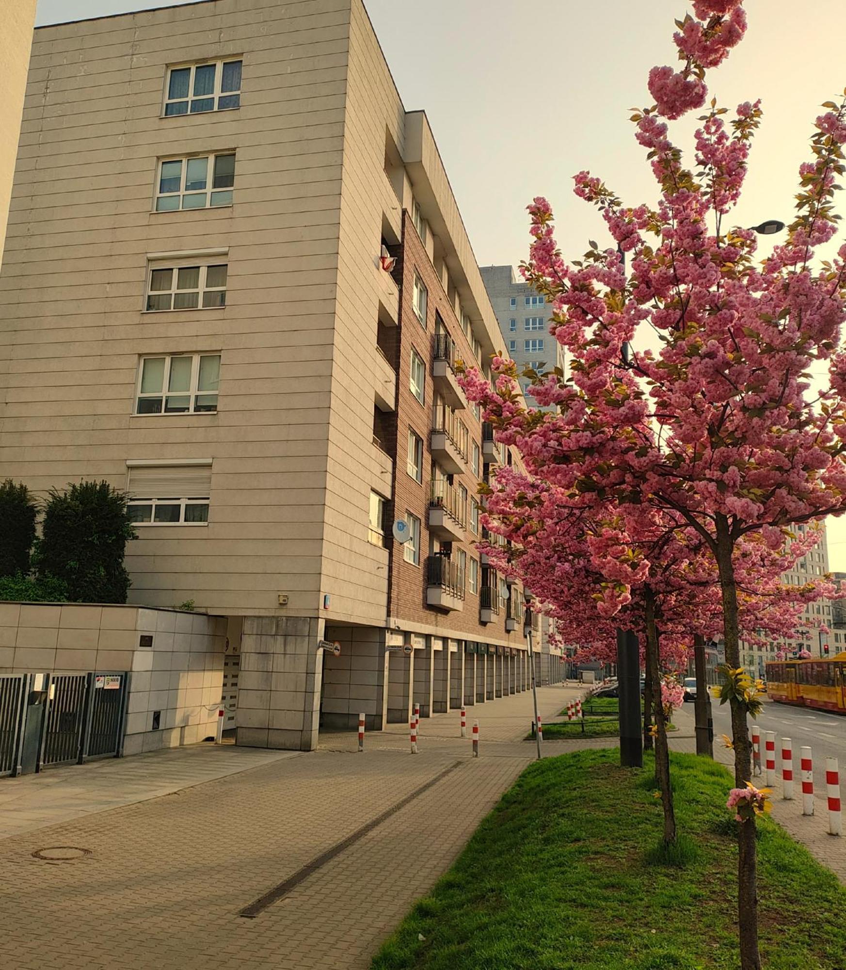 Totutotam Studio Varsovia Exterior foto